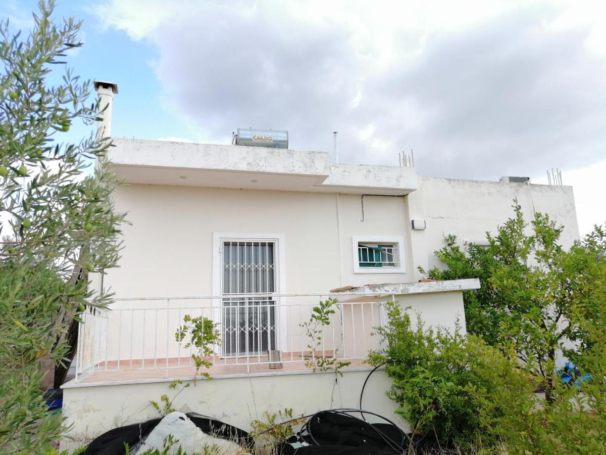 Costasfarmhouse, Pallini, Near Athens Airport Apartment Exterior photo