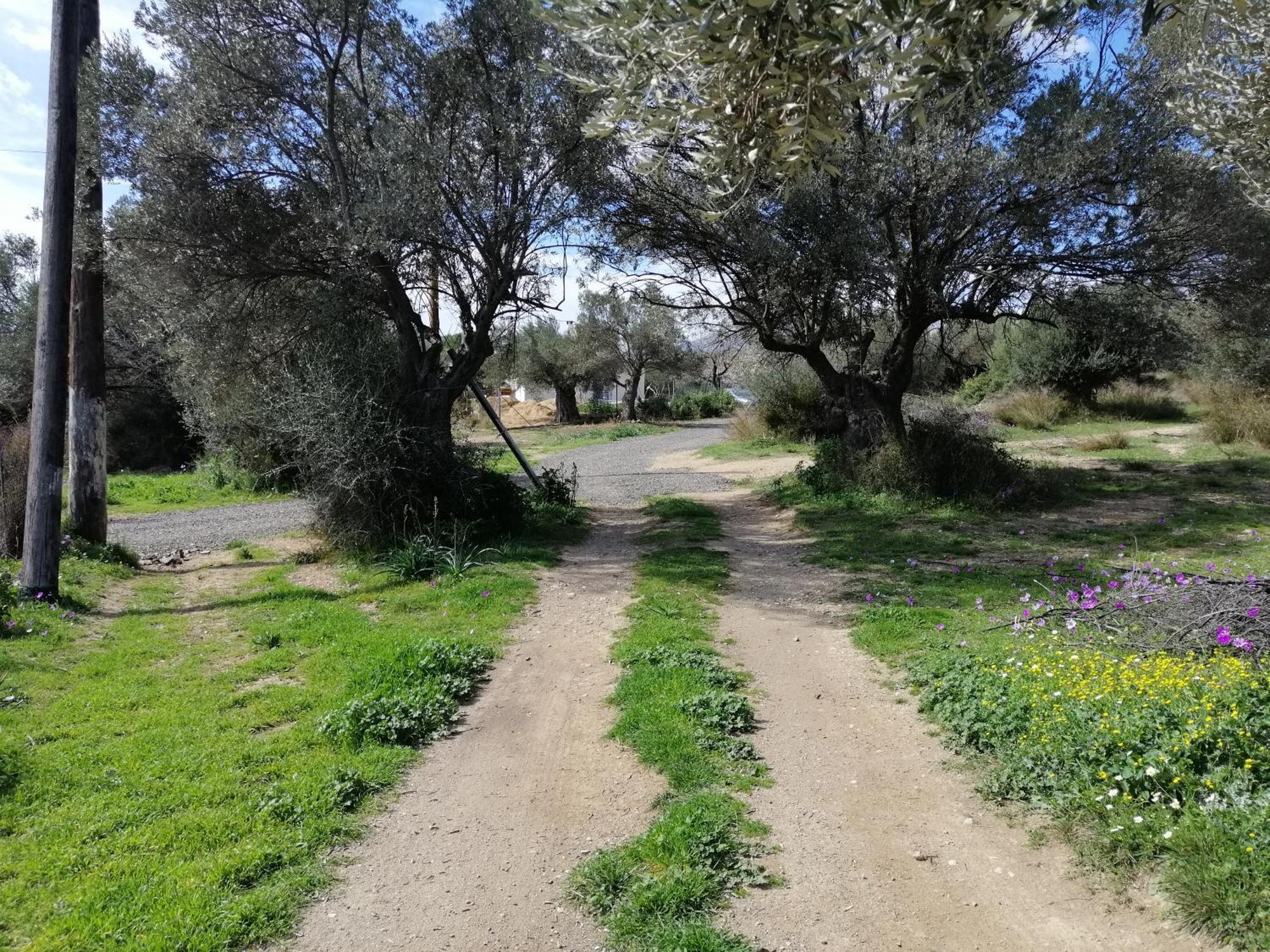 Costasfarmhouse, Pallini, Near Athens Airport Apartment Exterior photo
