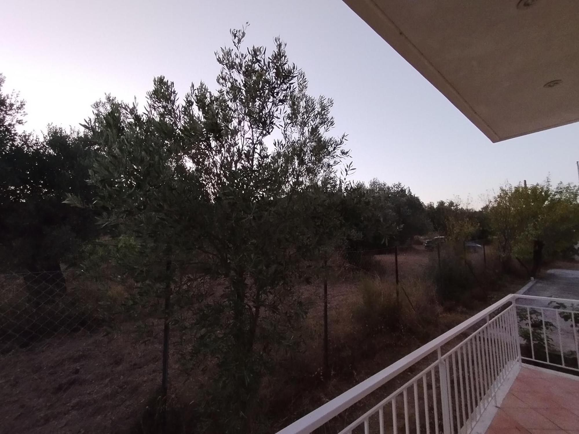 Costasfarmhouse, Pallini, Near Athens Airport Apartment Exterior photo