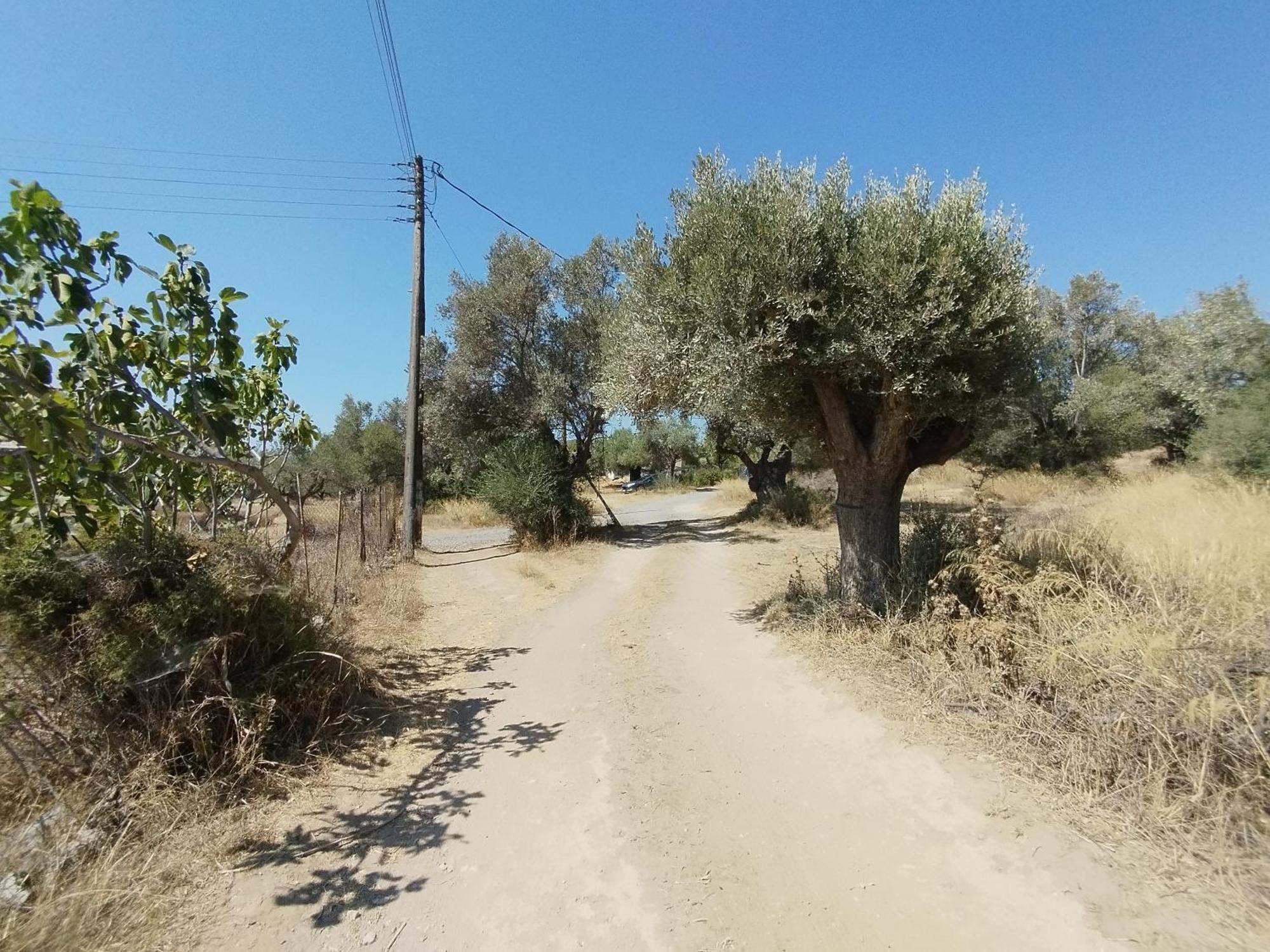 Costasfarmhouse, Pallini, Near Athens Airport Apartment Exterior photo