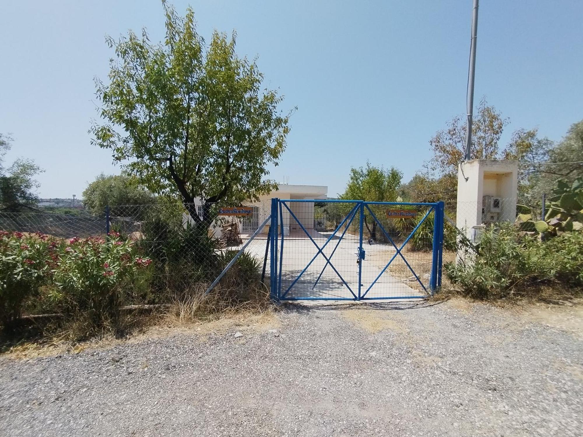 Costasfarmhouse, Pallini, Near Athens Airport Apartment Exterior photo