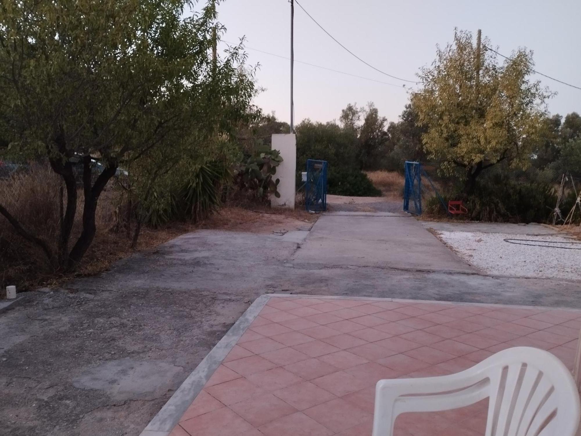 Costasfarmhouse, Pallini, Near Athens Airport Apartment Exterior photo